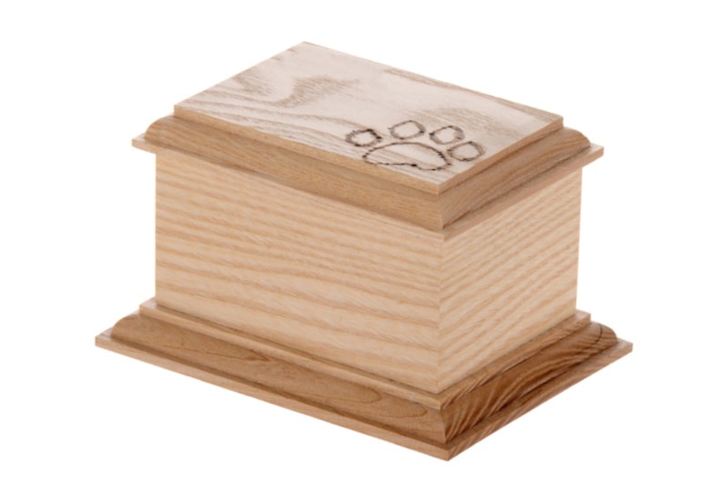Wooden urn containing cat's ashes