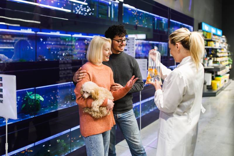 Young couple is buying fishes in a modern fish shop