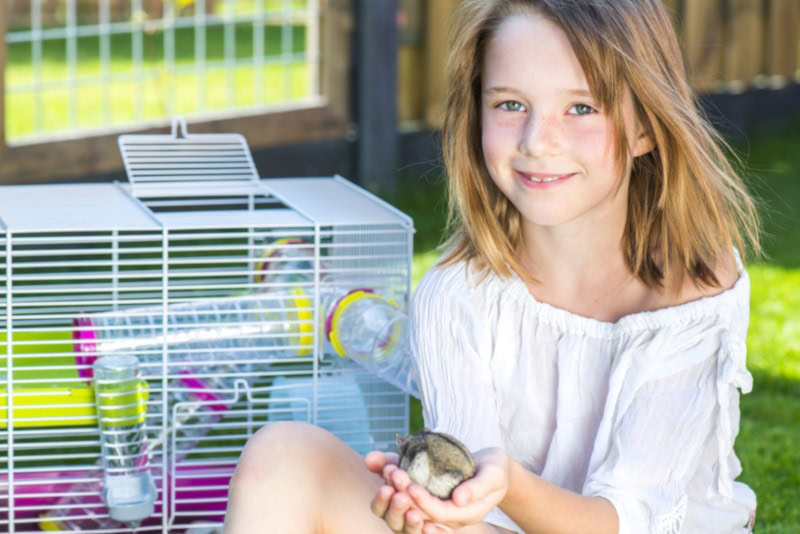 Young girl with pet hamster beside hamster cage