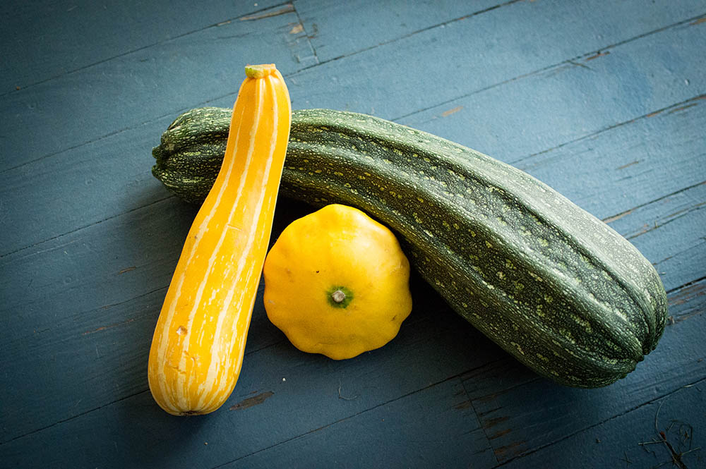 Zucchini and Squash a summer time blessing and curse