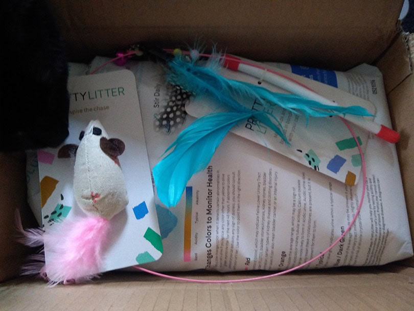 a black cat peeking in the box with pretty litter and accessories inside