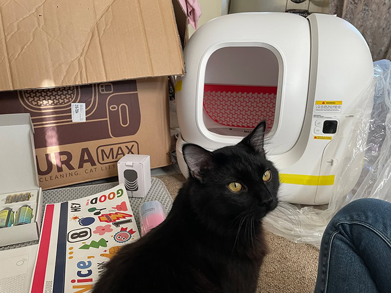 a black cat sitting near the petkit pura max litter box contents