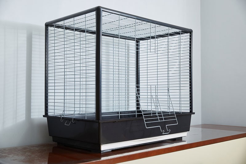 a large empty cage