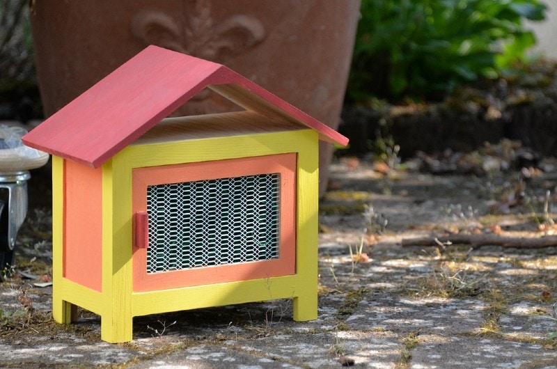 a rabbit hutch outdoors