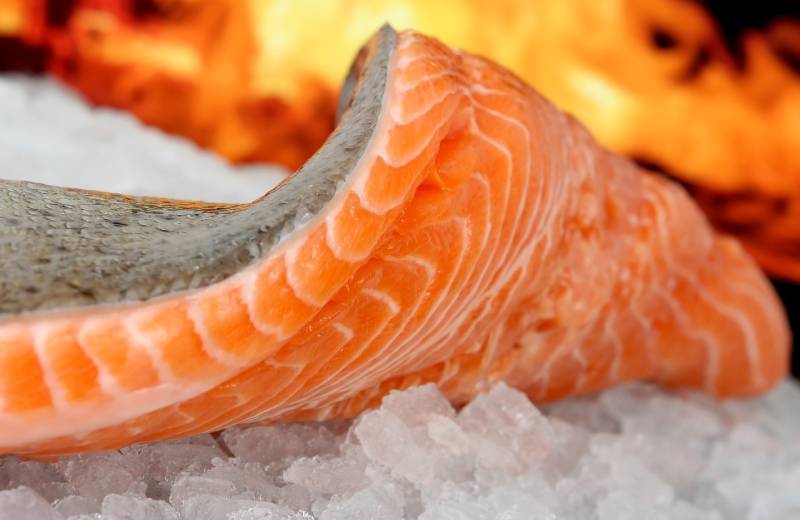 a slice of raw salmon meat on ice