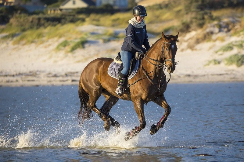 a young woman horseback riding by the sea