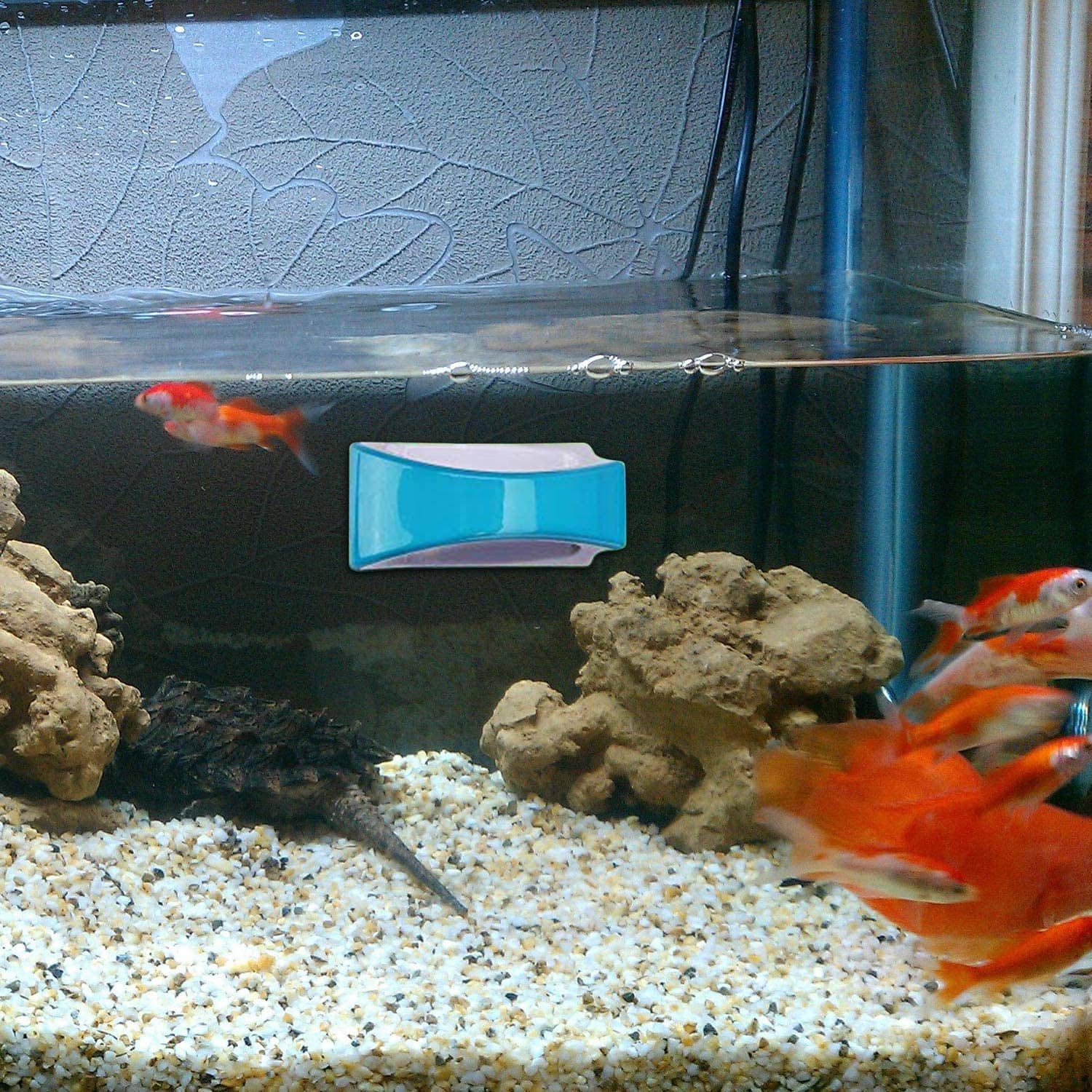 actual use of Neptonion Magnetic Aquarium Fish Tank Glass Algae scrapers