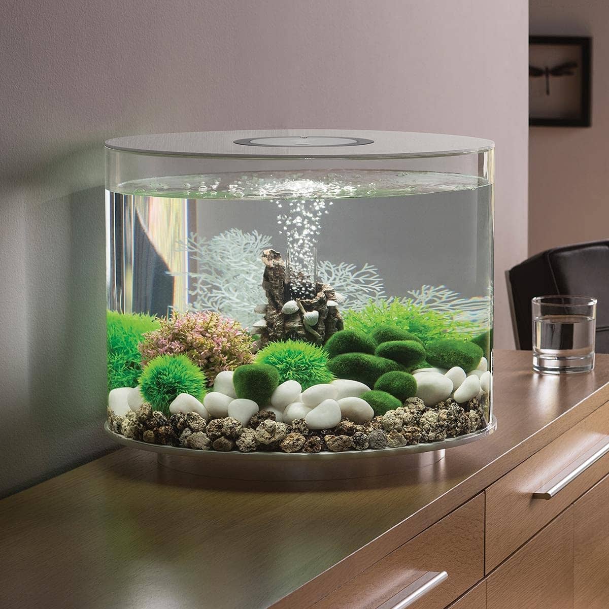 actual use of biOrb Tube 35L Aquarium
