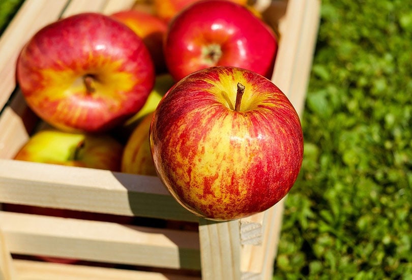 apples on a wooden crate