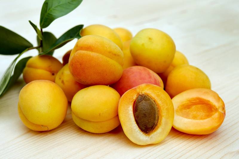 apricot fruits