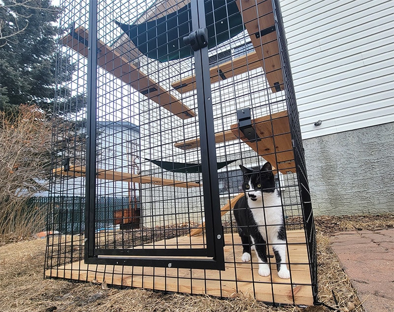 arlo in habitat haven my own den petit enclosure