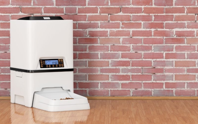 automatic pet food feeder