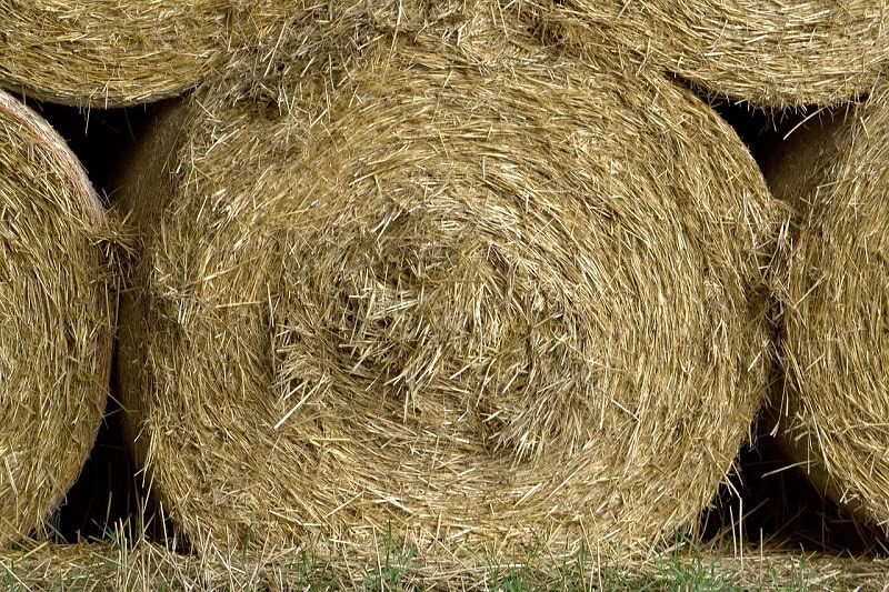 bale of hay