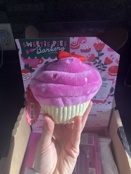 bark box pink cupcake dog toy