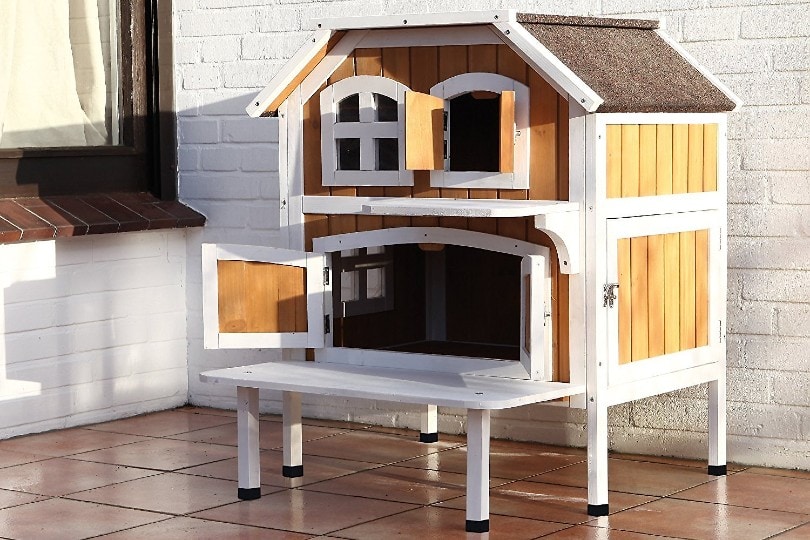 big cat house outside