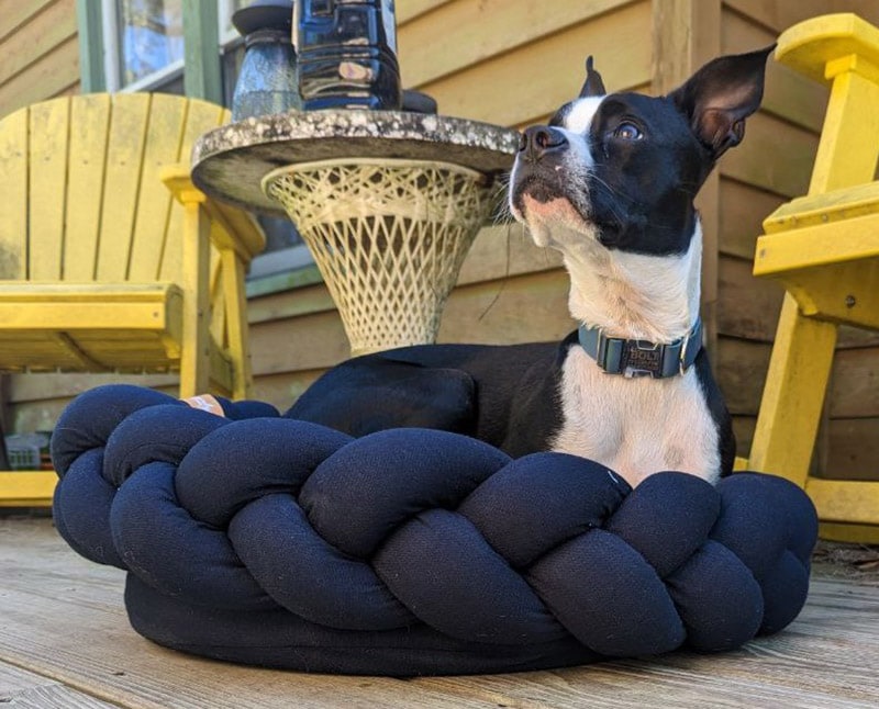 bolt lying on the pupper pod