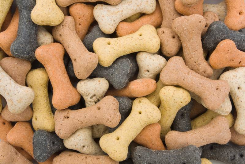 bone shaped dog treats