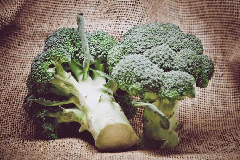 broccoli-close-up