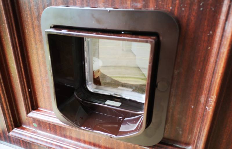 brown cat flap installed in the back door of a house