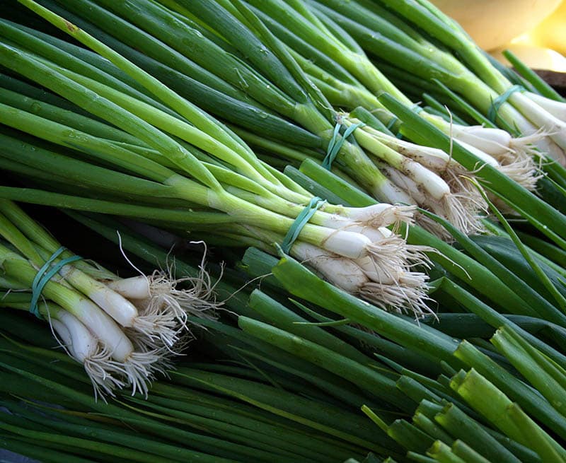 bundle of green onion