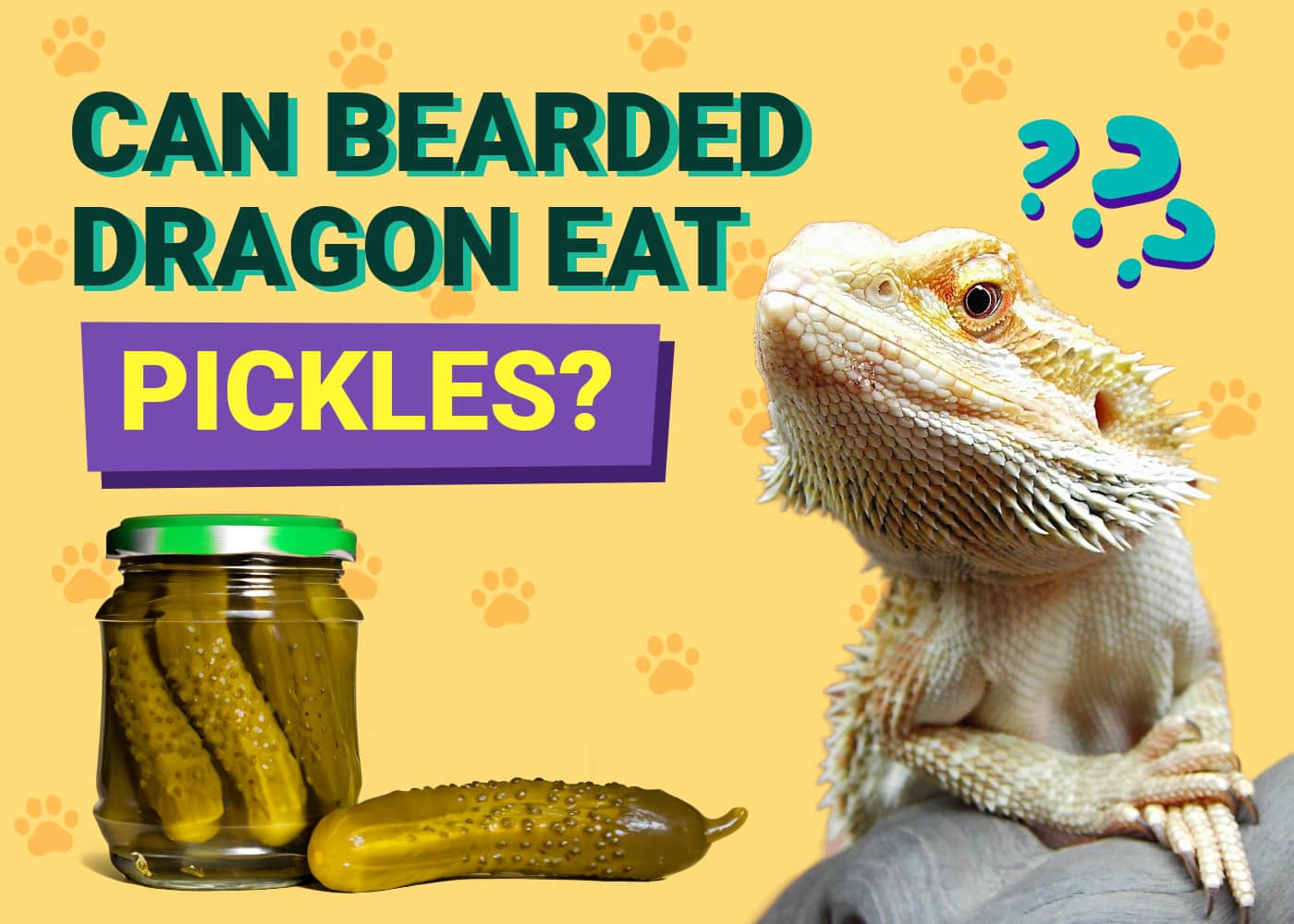 Can Bearded Dragons Eat Pickles