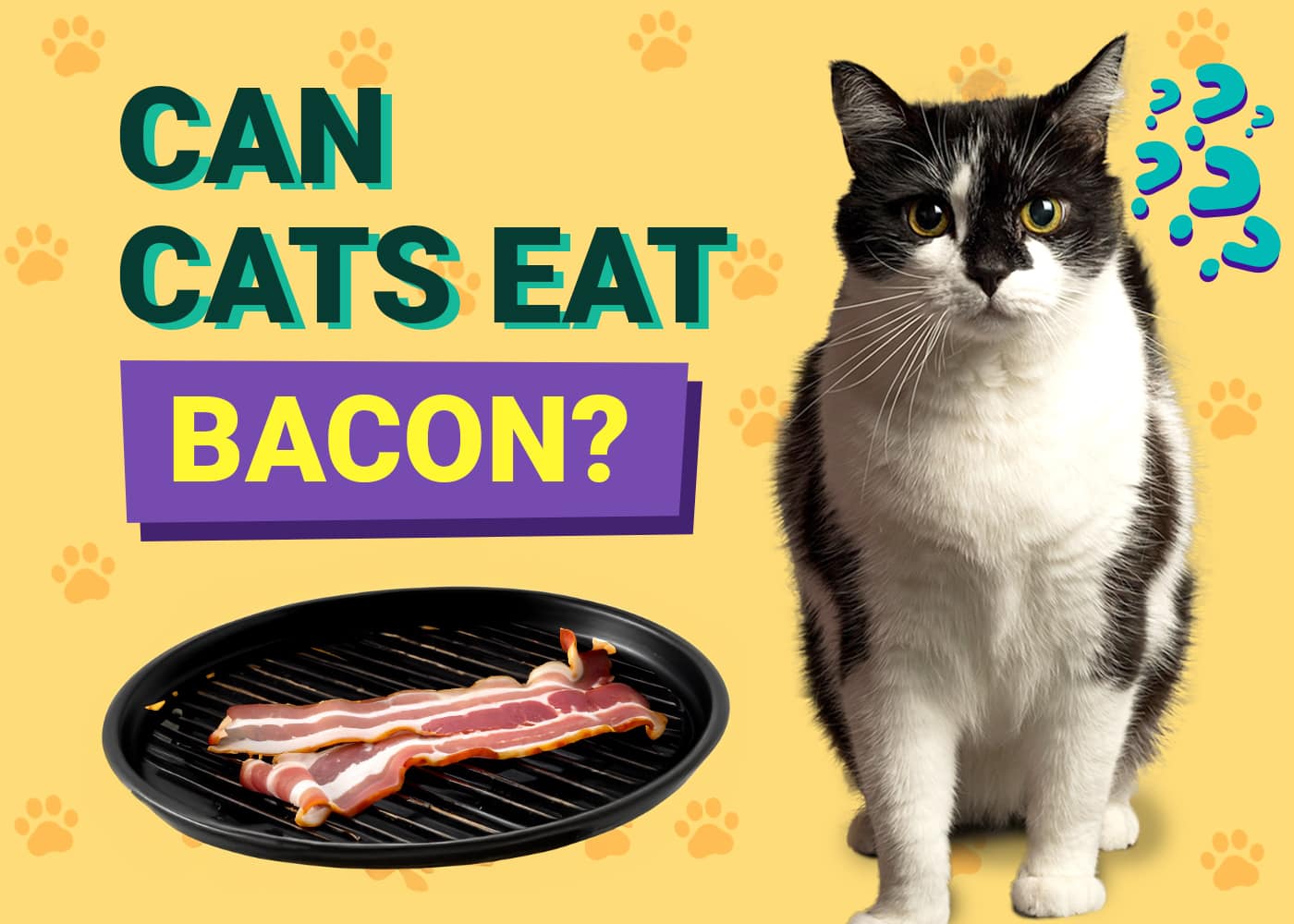 Can Cats Eat Bacon