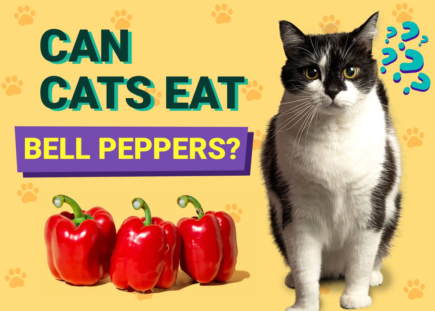 Can Cats Eat Bell Peppers