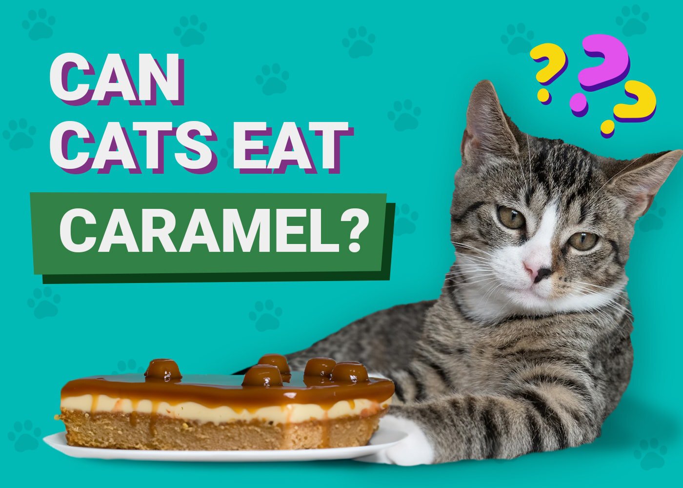 Can Cats Eat Caramel