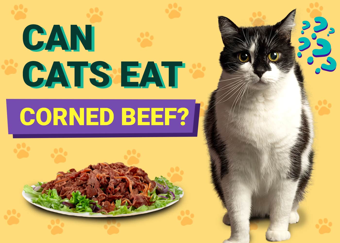 Can Cats Eat Corned Beef