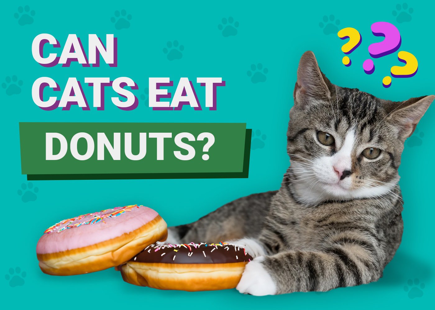 Can Cats Eat Donuts