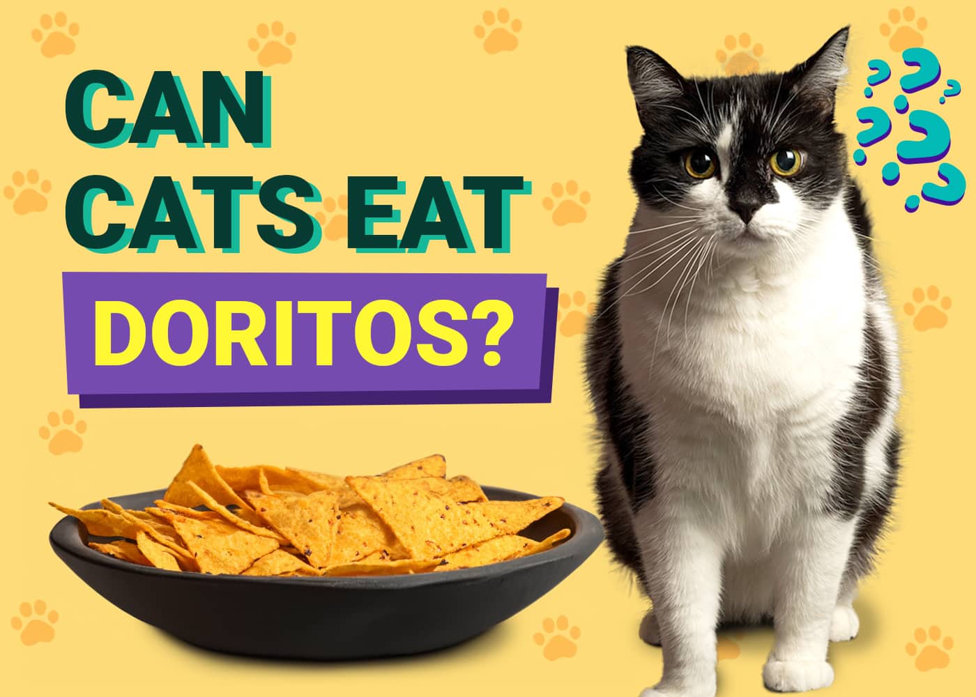Can Cats Eat Doritos