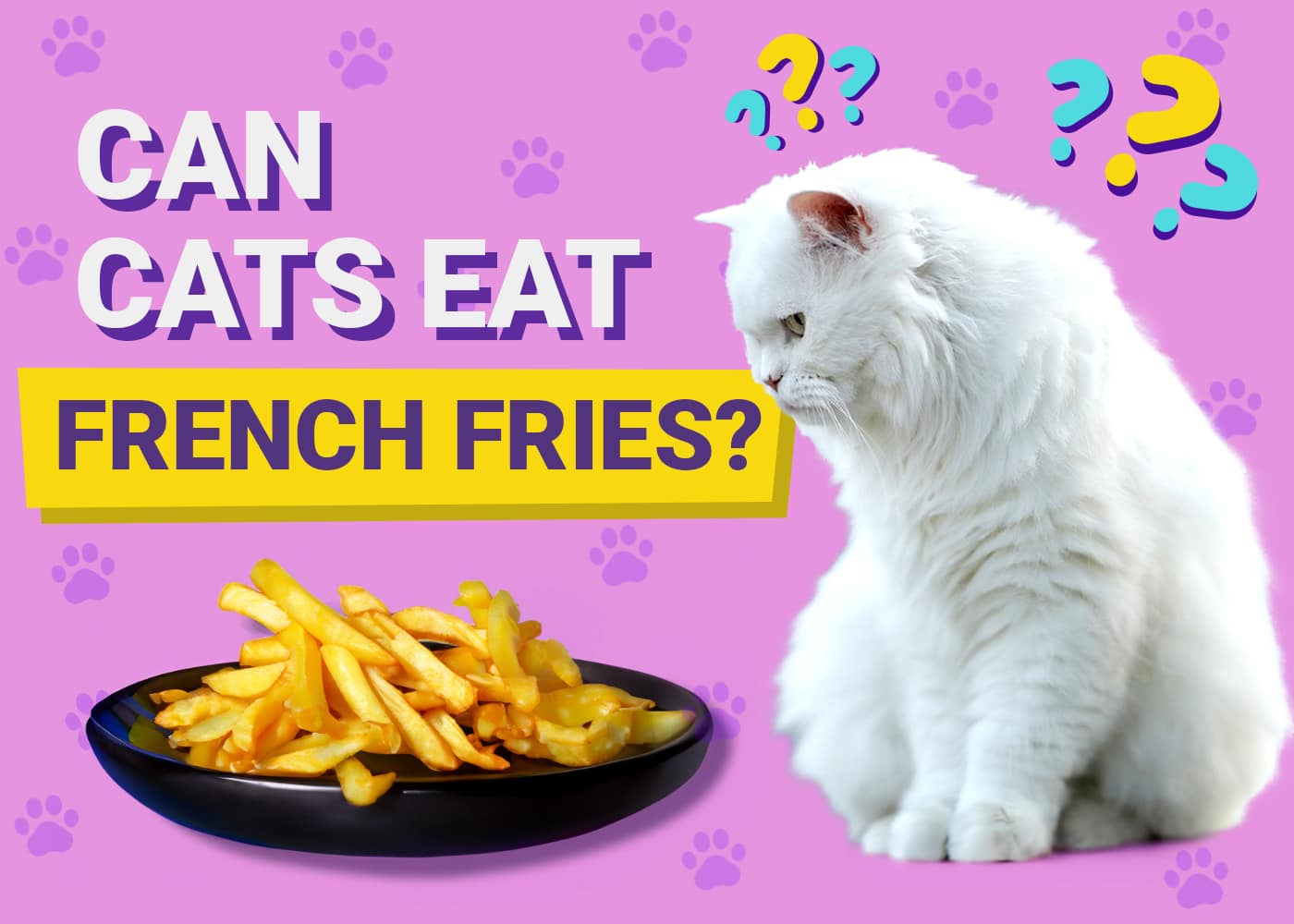 Can Cats Eat French Fries