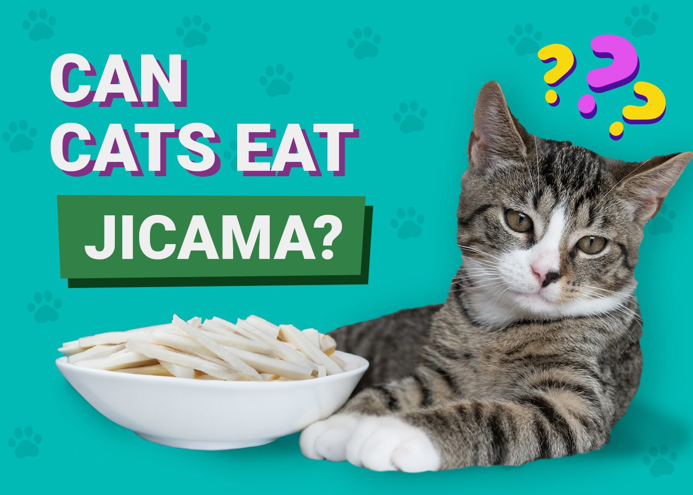 Can Cats Eat Jicama