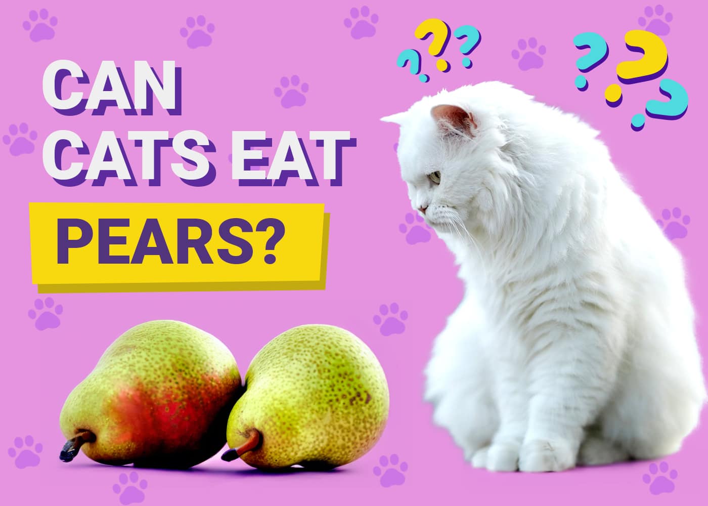 Can Cats Eat Pears
