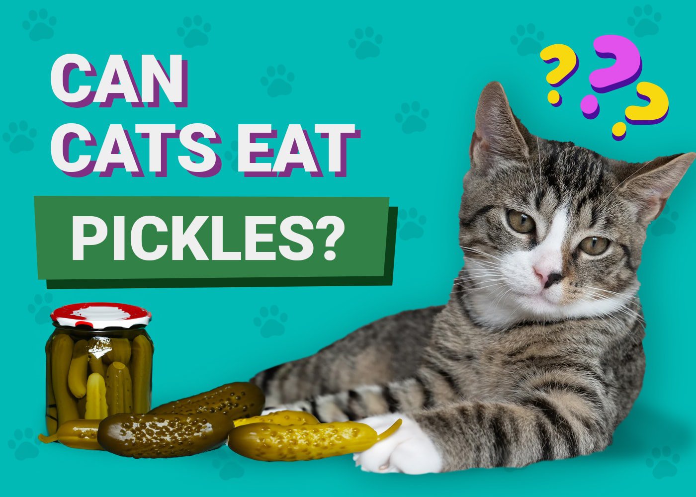 Can Cats Eat Pickles