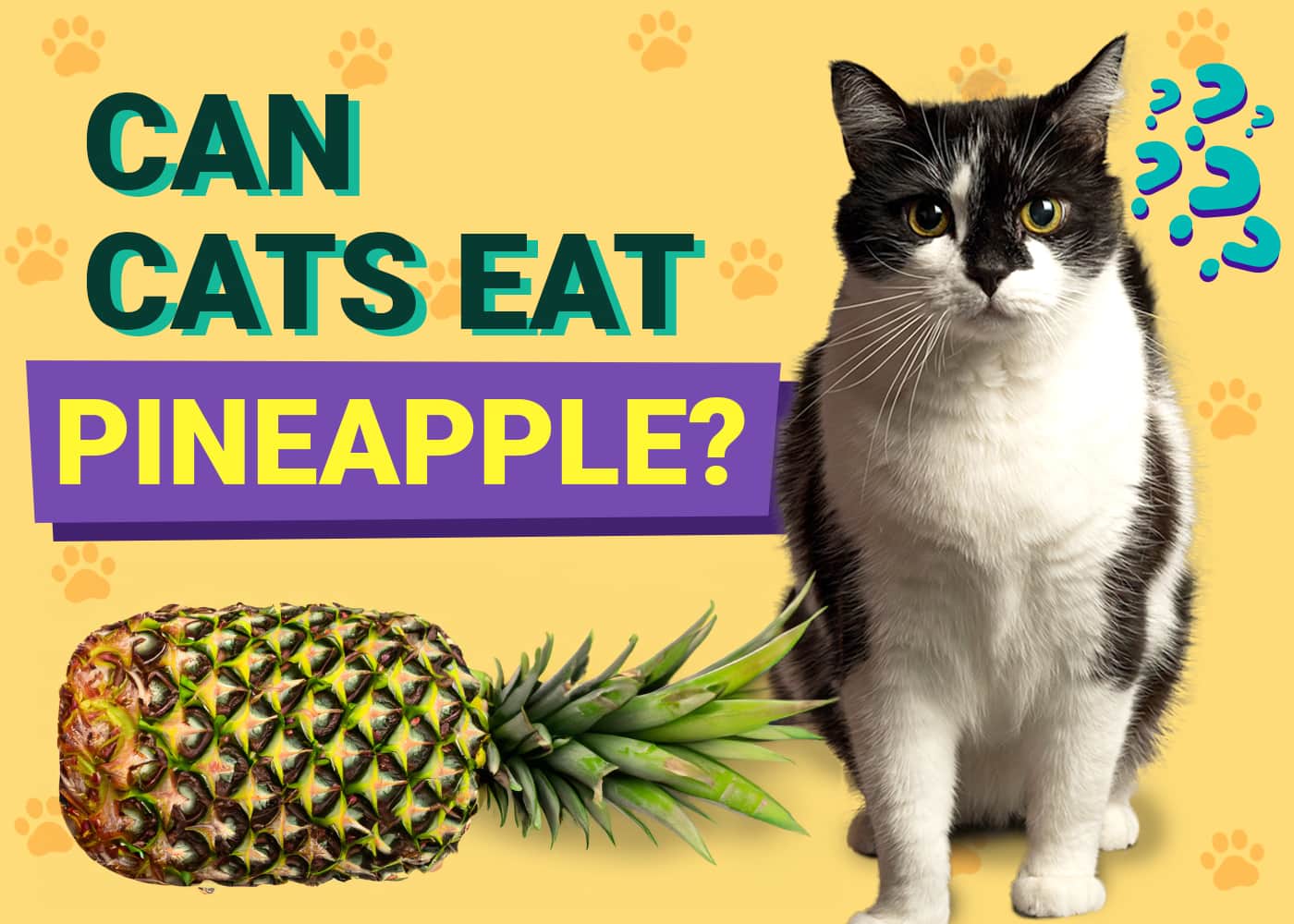 Can Cats Eat Pineapple