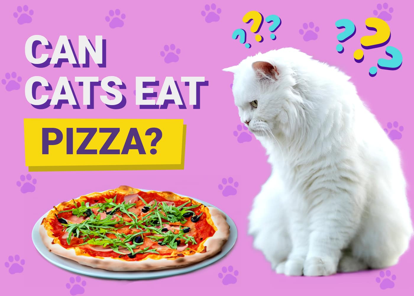 Can Cats Eat Pizza