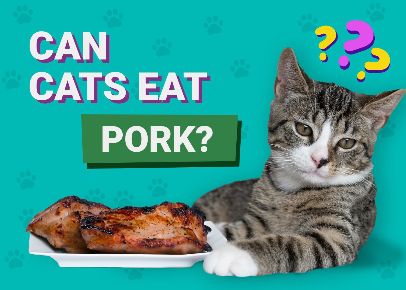 Can Cats Eat Pork