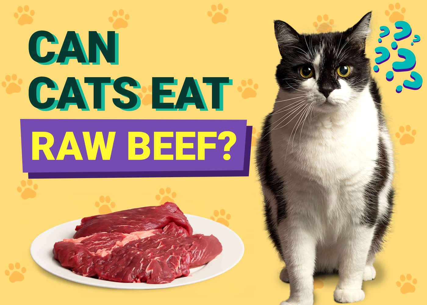 Can Cats Eat Raw Beef