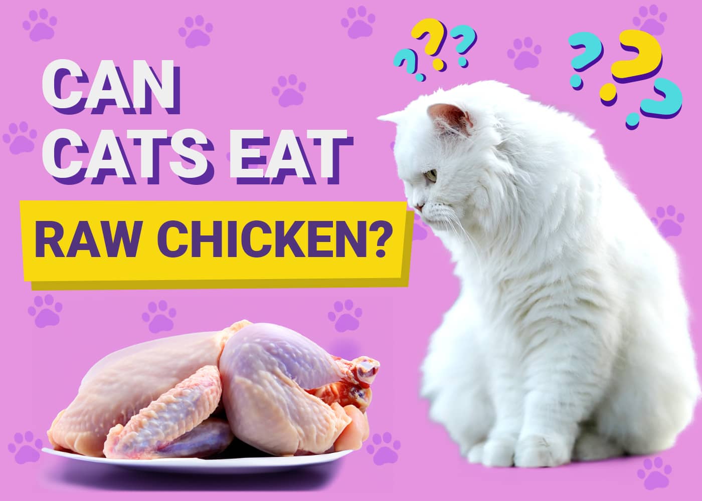 Can Cats Eat Raw Chicken