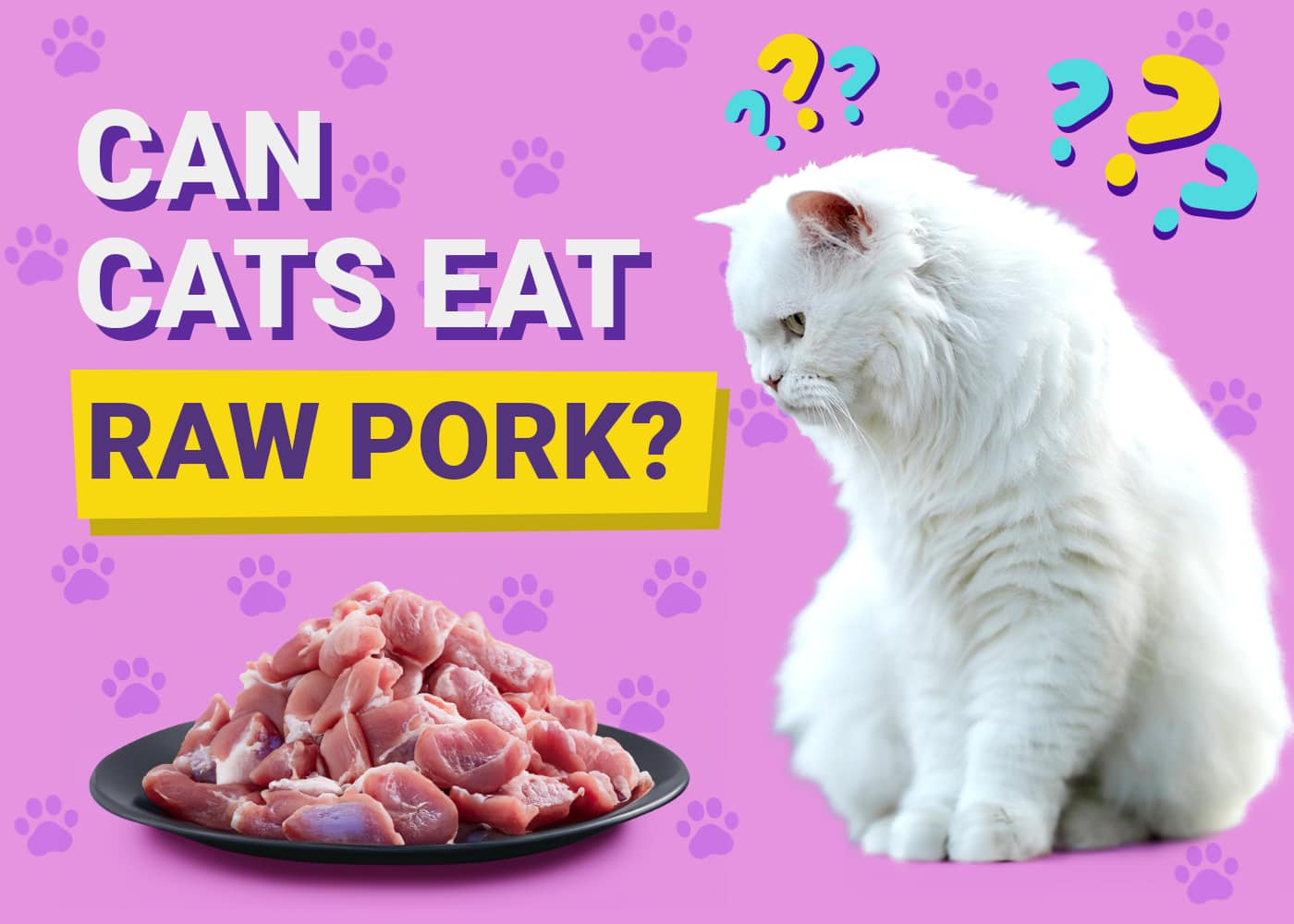 Can Cats Eat Raw Pork