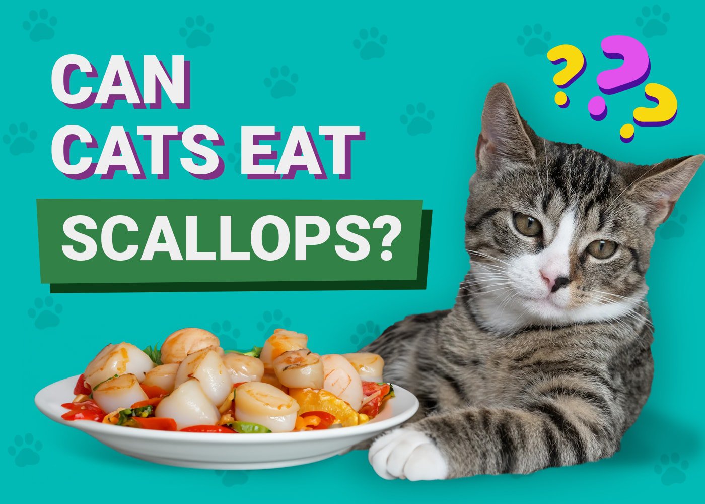Can Cats Eat Scallops