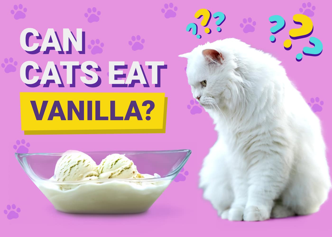 Can Cats Eat Vanilla