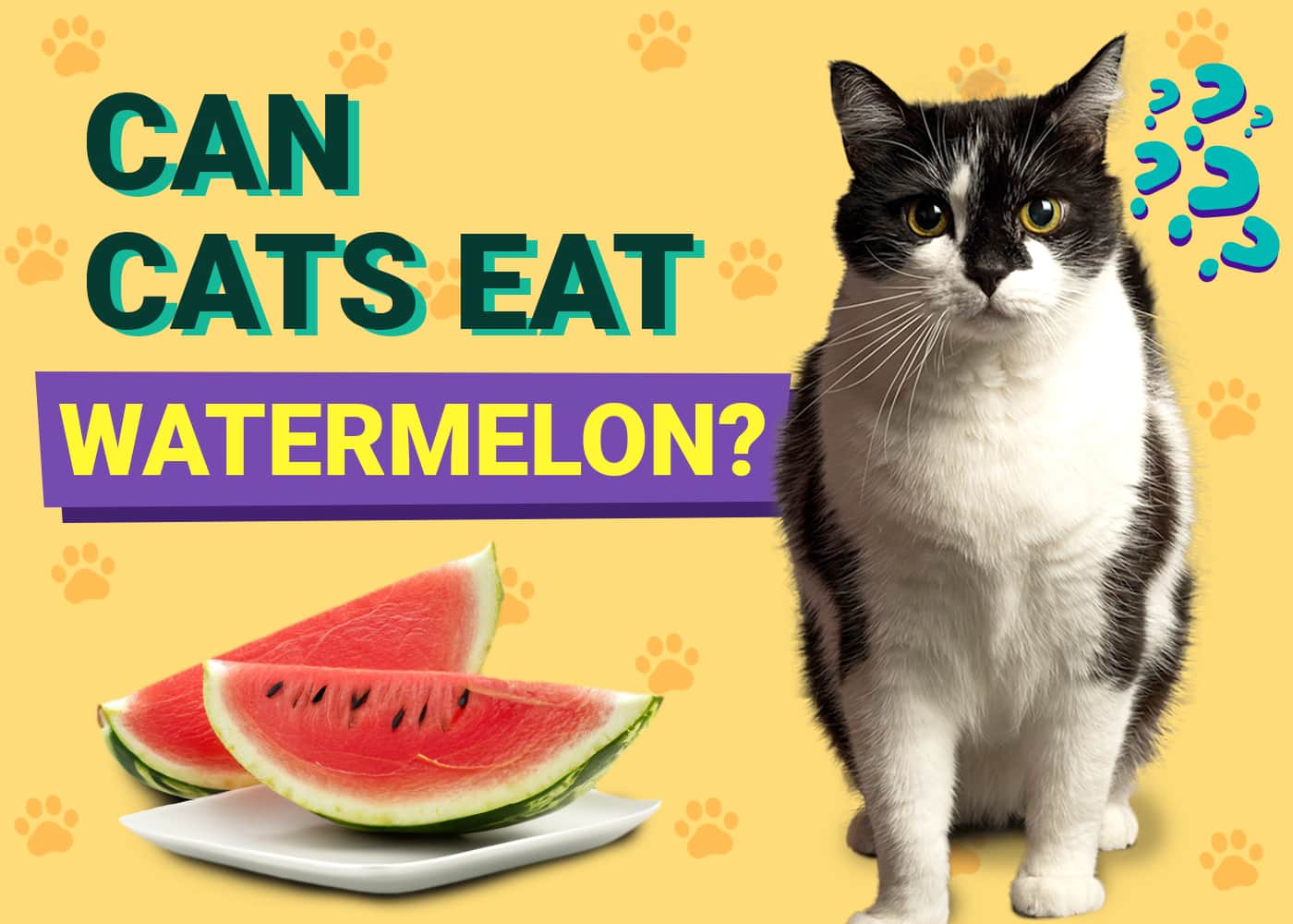 Can Cats Eat Watermelon