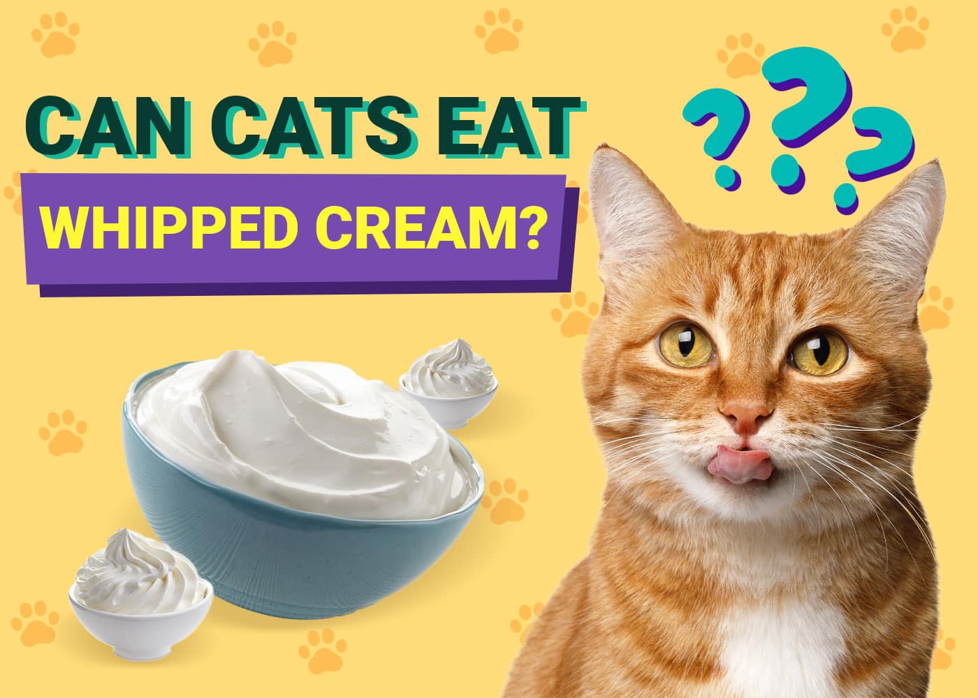 Can Cats Eat Whipped Cream