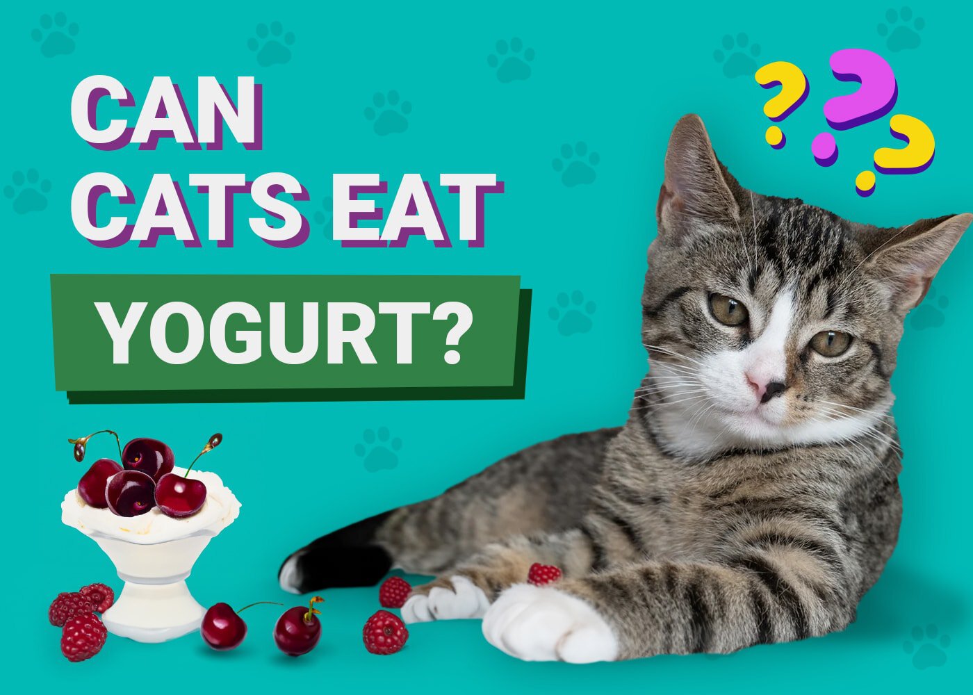 Can Cats Eat Yogurt