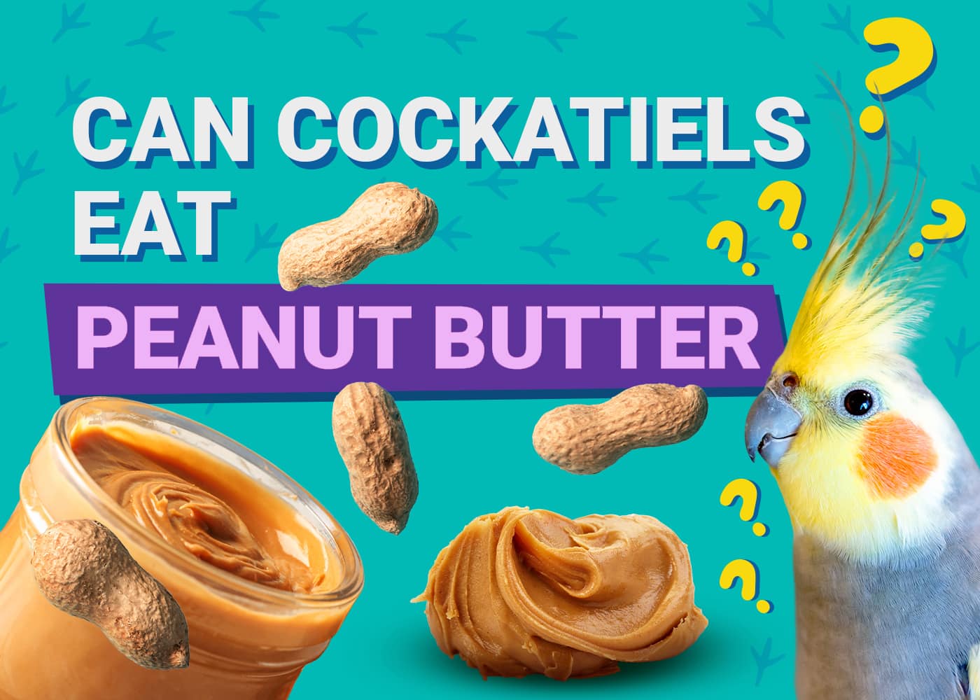 can cockatiels eat peanut butter