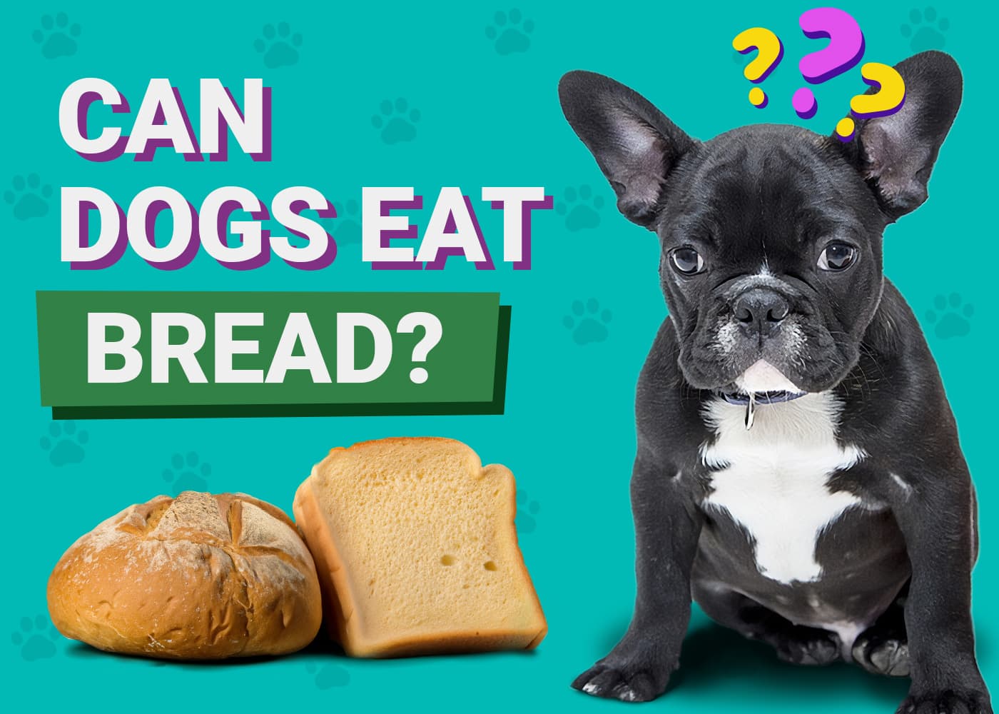 Can Dogs Eat Bread