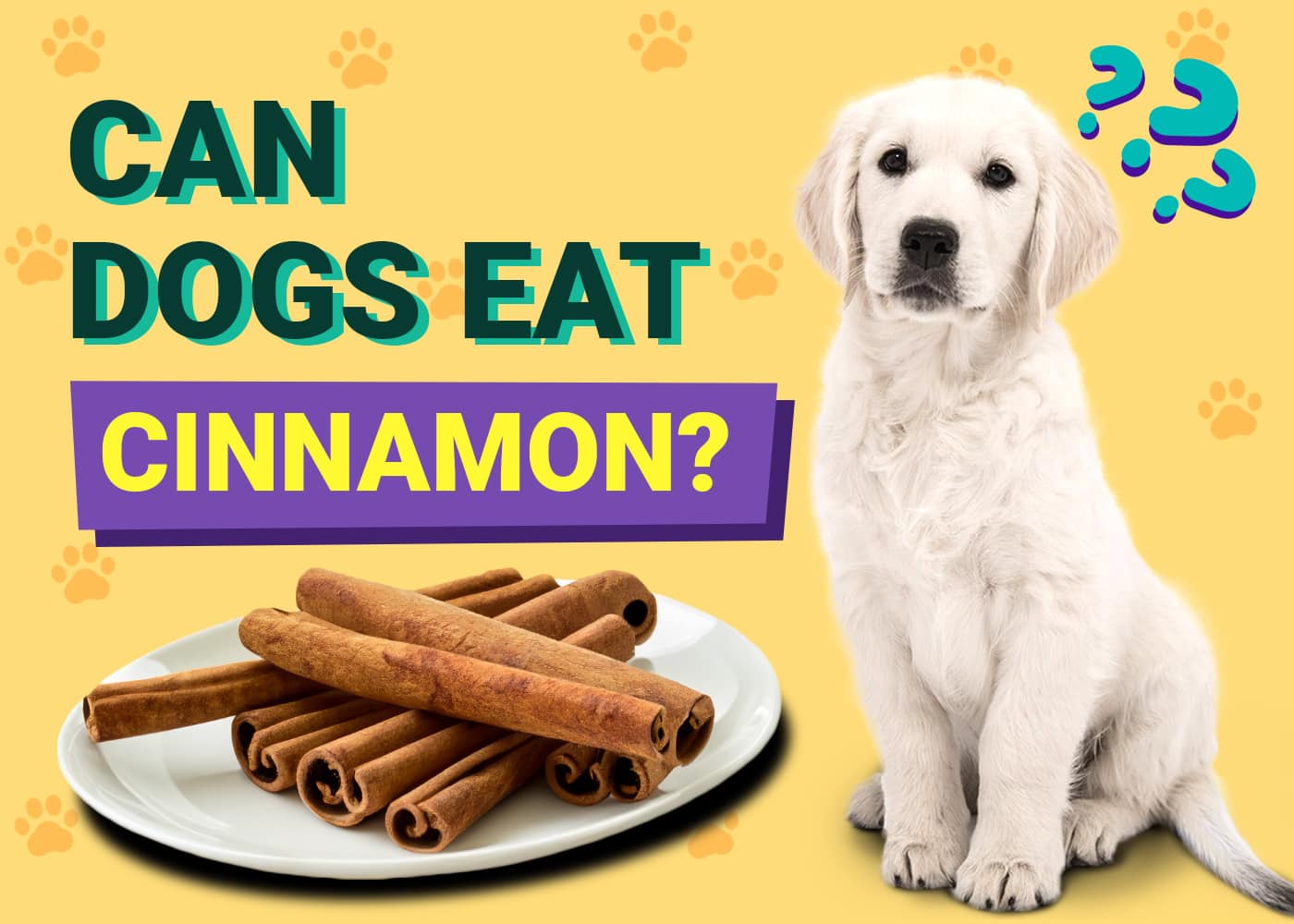 Can Dogs Eat Cinnamon