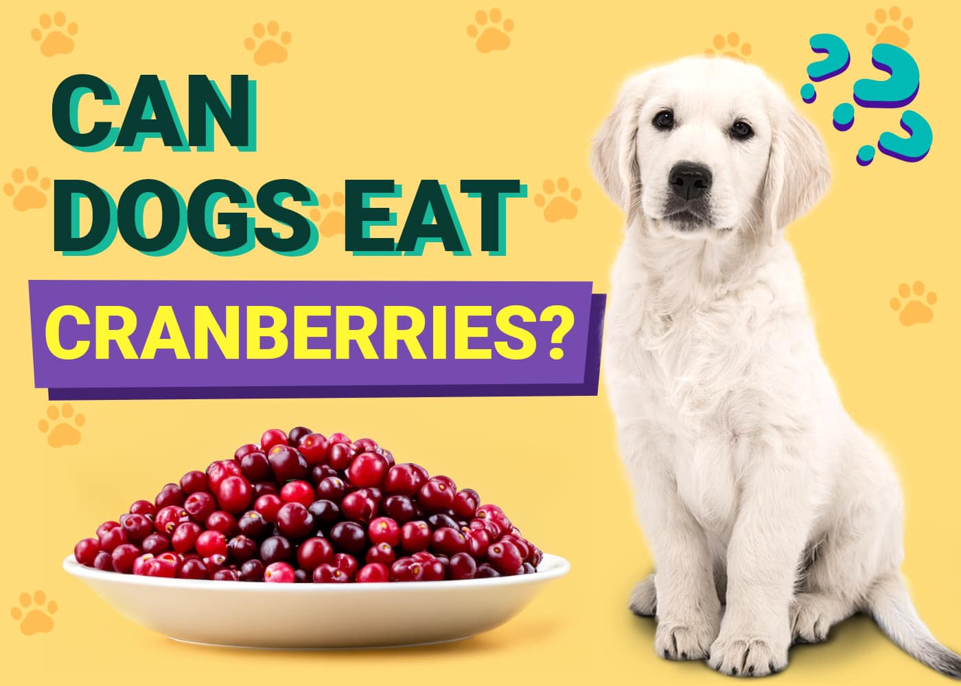 Can Dogs Eat Cranberries